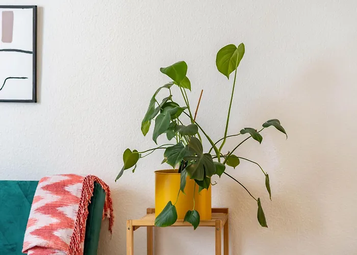 Lejlighed Next Duisburg